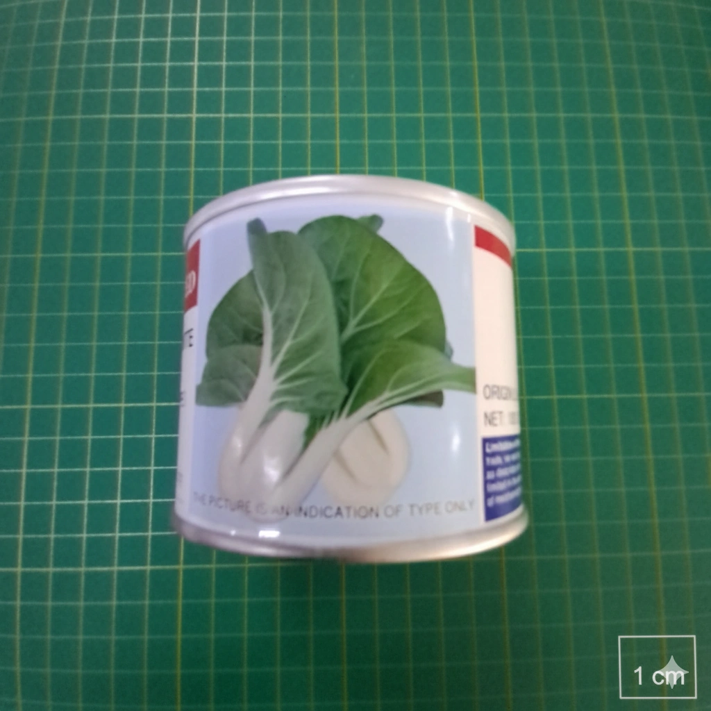 Kailan 100GR
