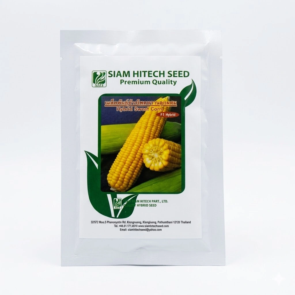 Sweet Corn{Mais}100 GR