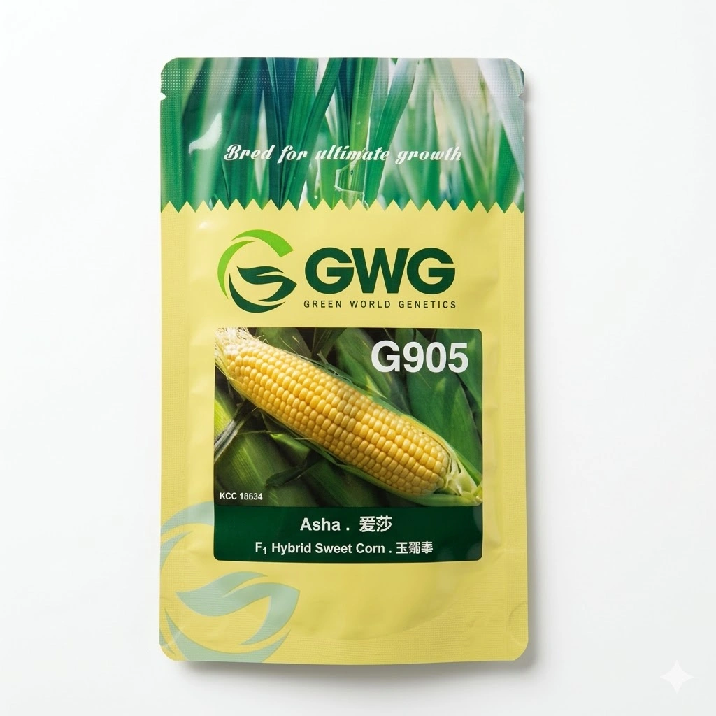 Sweet Mais GWG G905 ASHA 100G