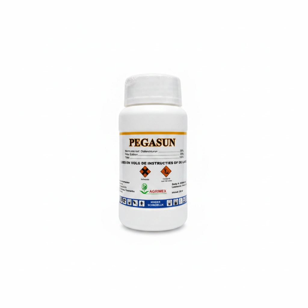 Pegasun